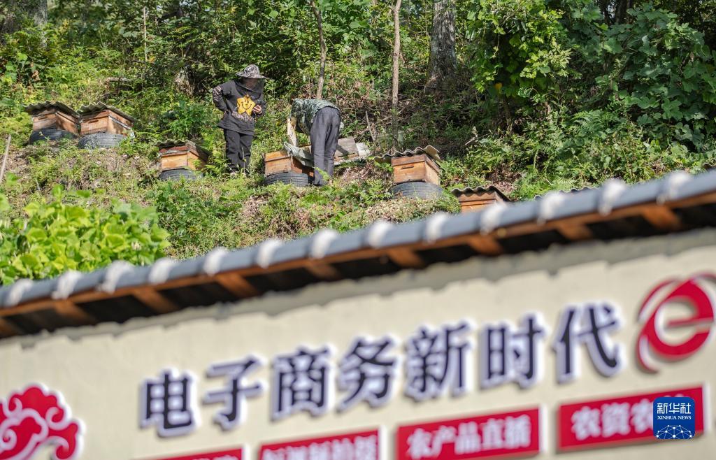 手游英皇棋牌